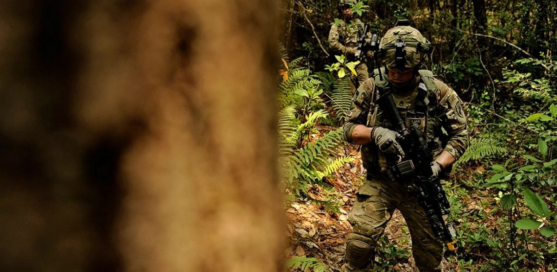multicam vs mandrake